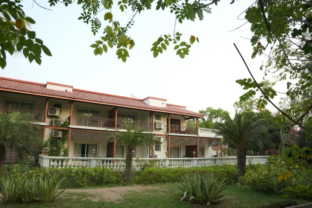 deg-gan (1)