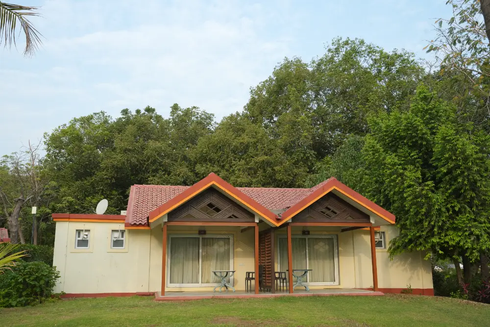 del-cot (3)